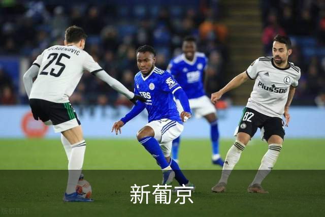 新葡京公司介绍